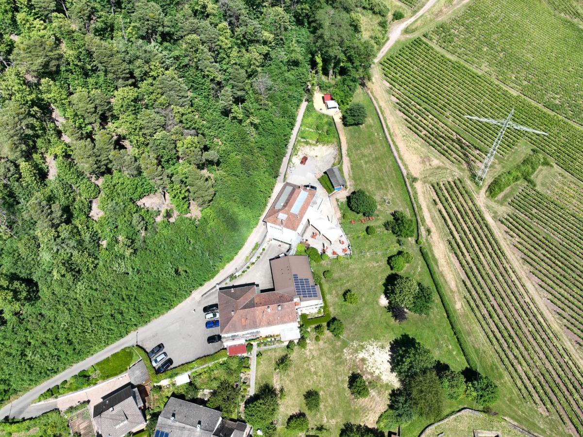 Hotel Berghof Albersweiler Exteriér fotografie